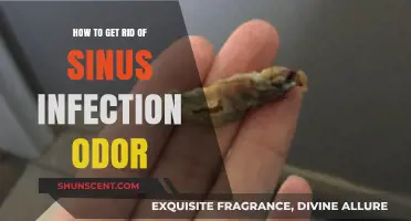 Eliminate Sinus Infection Odor: Effective Remedies and Prevention Tips