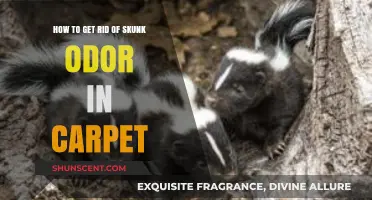 Effective Ways to Eliminate Skunk Smell from Your Carpet