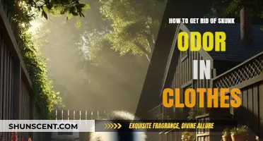 Effective Ways to Remove Skunk Smell from Your Clothes Fast