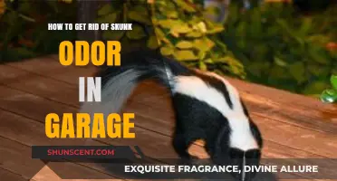 Effective Ways to Eliminate Skunk Smell from Your Garage Fast