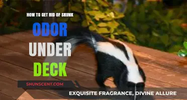 Effective Ways to Eliminate Skunk Smell Under Your Deck Fast