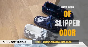 Eliminate Slipper Smell: Quick Tips for Fresh, Odor-Free Footwear
