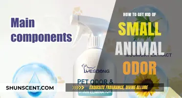Eliminate Small Animal Odors: Effective Tips for a Fresh-Smelling Home