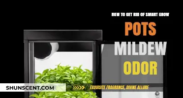 Eliminate Smart Grow Pots Mildew Smell: Effective Odor Removal Tips