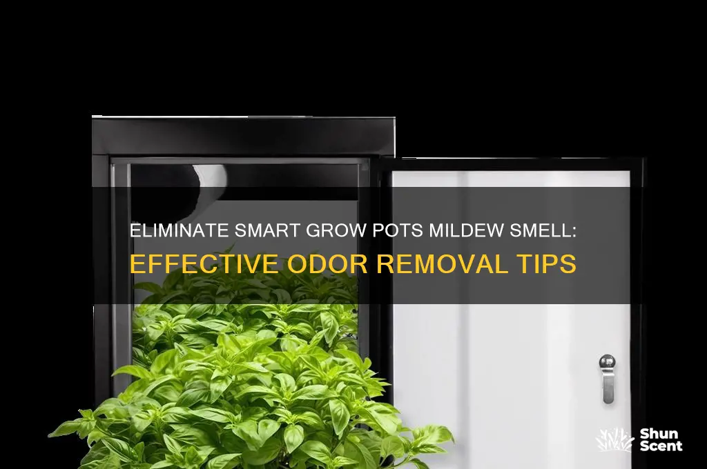 how to get rid of smart grow pots mildew odor