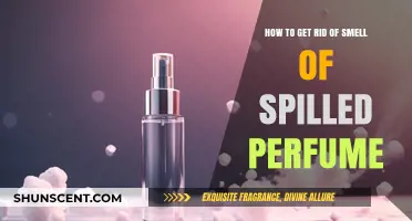 Easy Hacks to Neutralize Lingering Perfume Odor