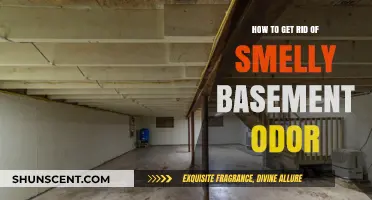 Eliminate Basement Odors: Proven Tips for a Fresh-Smelling Space