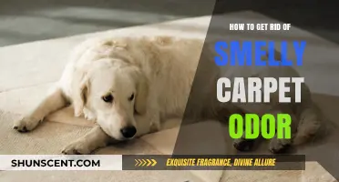Eliminate Stubborn Carpet Odors: Freshen Your Home with Proven Tips