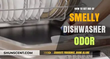 Eliminate Dishwasher Odors: Quick Fixes for a Fresh-Smelling Machine