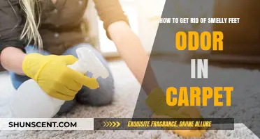 Eliminate Foot Odor from Carpets: Freshen Your Home Fast