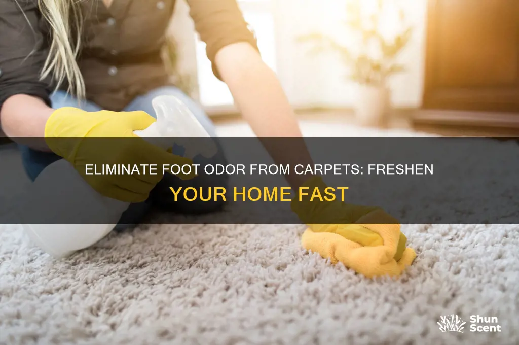 how to get rid of smelly feet odor in carpet
