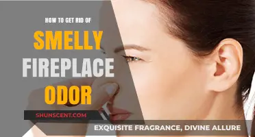 Eliminate Fireplace Odors: Quick Fixes for a Fresh-Smelling Home