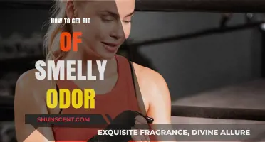 Eliminate Stubborn Smells: Proven Tips to Freshen Your Space Fast