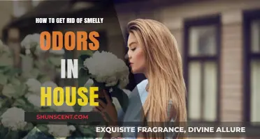 Eliminate Stubborn House Odors: Freshen Your Home with Proven Tips