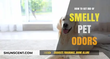Eliminate Pet Odors: Proven Tips for a Fresh-Smelling Home