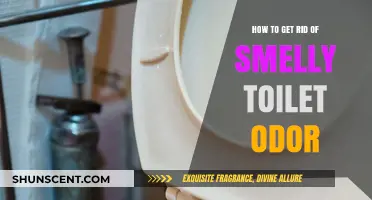 Eliminate Stubborn Toilet Odors: Quick Fixes and Long-Term Solutions