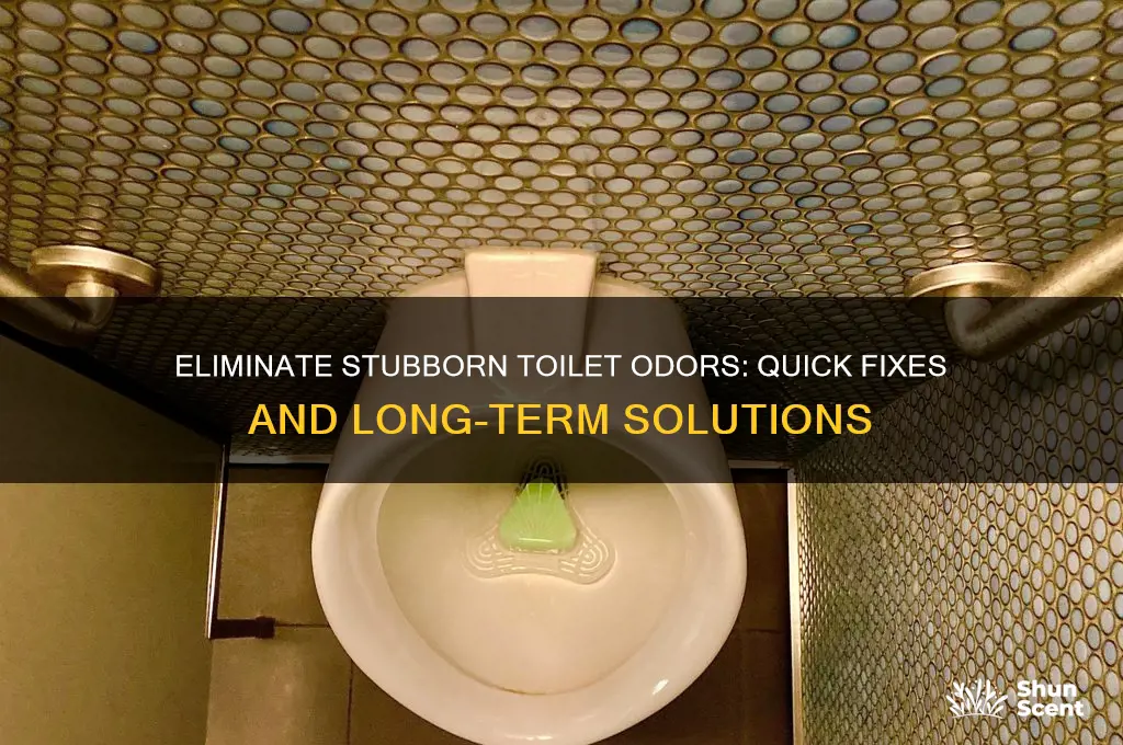 how to get rid of smelly toilet odor