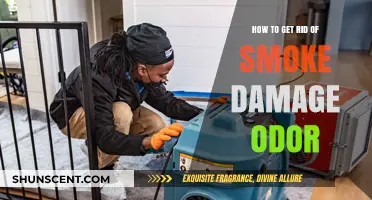 Effective Ways to Eliminate Stubborn Smoke Damage Odor from Your Home