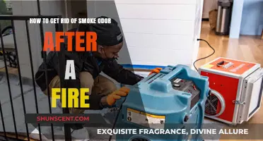Eliminate Lingering Smoke Smell: Effective Tips for Post-Fire Odor Removal