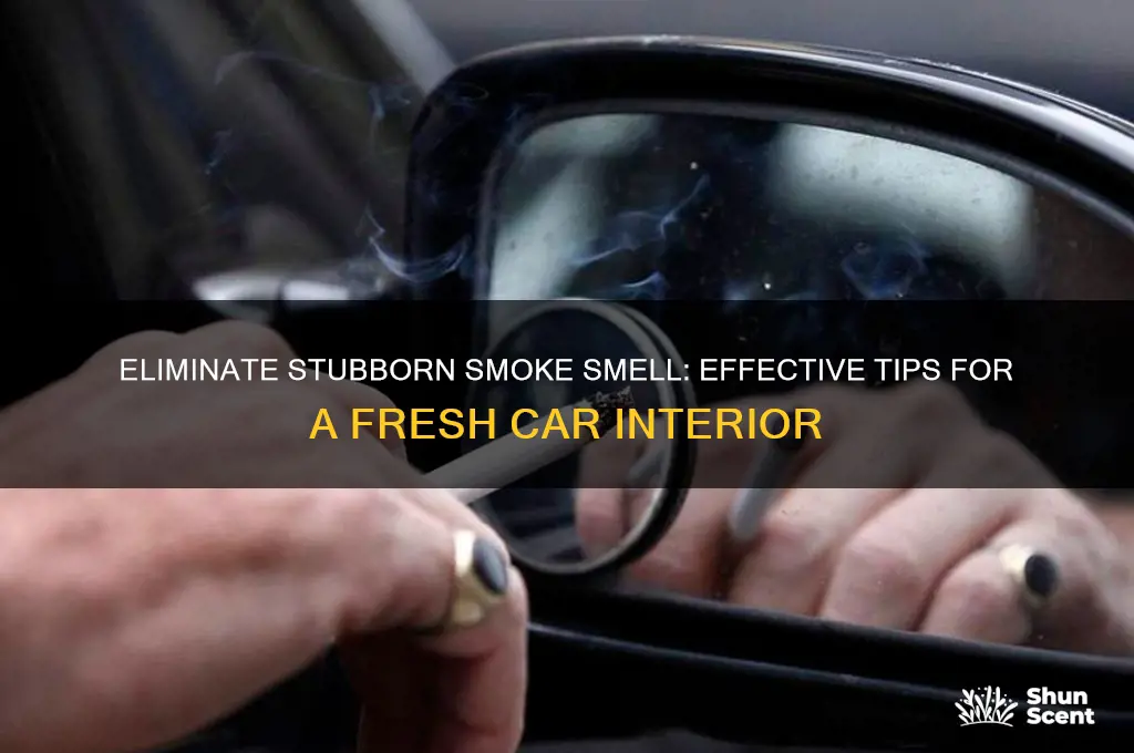 how to get rid of smoke odor from car
