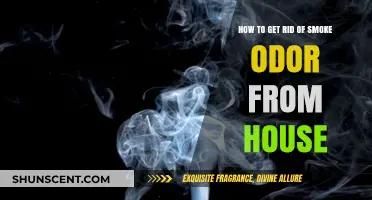 Effective Ways to Eliminate Stubborn Smoke Odor from Your Home
