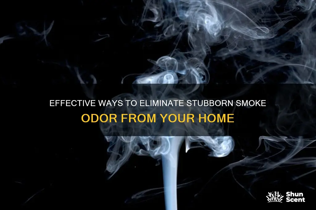 how to get rid of smoke odor from house