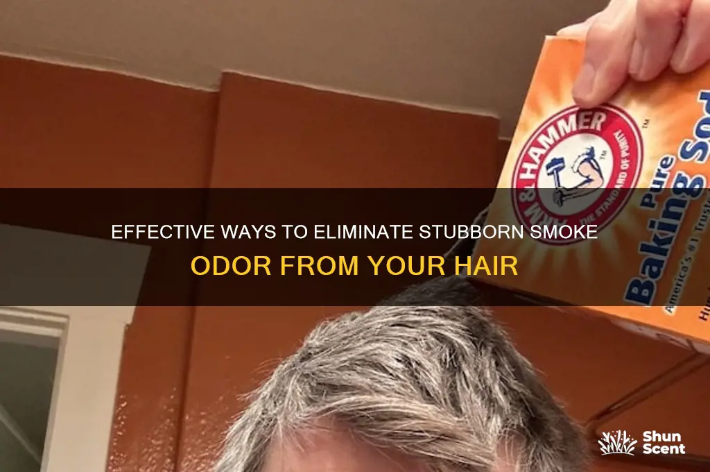 how to get rid of smoke odor in hair