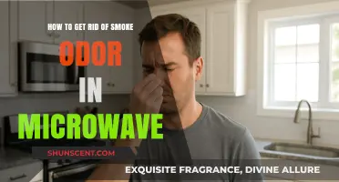 Effective Tips to Eliminate Stubborn Smoke Odor from Your Microwave