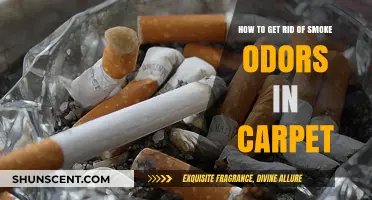 Effective Ways to Eliminate Stubborn Smoke Odors from Your Carpet