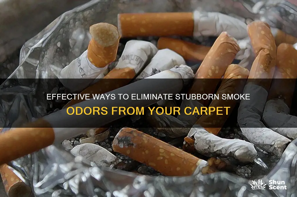 how to get rid of smoke odors in carpet
