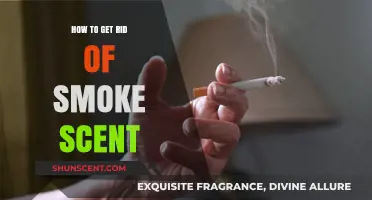 Effective Ways to Eliminate Lingering Smoke Smell from Your Space