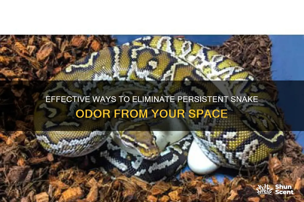how to get rid of snake odor