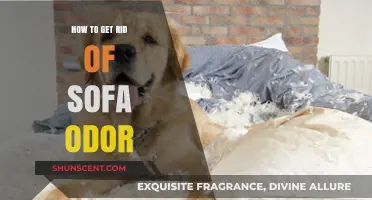 Eliminate Sofa Smells: Effective Tips to Freshen Your Couch Fast
