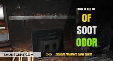 Effective Ways to Eliminate Soot Odor from Your Home