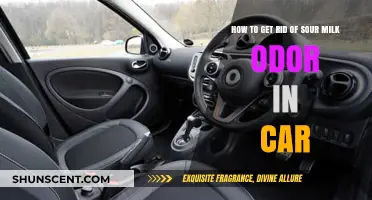 Eliminate Sour Milk Smell: Quick Fixes for Your Car's Interior