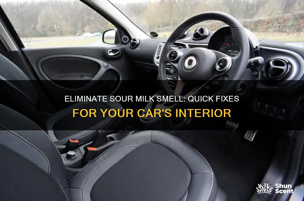 how to get rid of sour milk odor in car