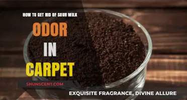 Eliminate Sour Milk Smell: Effective Carpet Odor Removal Tips