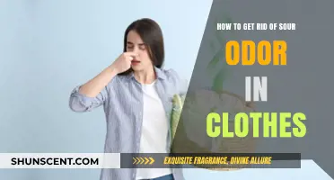 Eliminate Sour Smells: Effective Tips to Freshen Your Clothes Fast