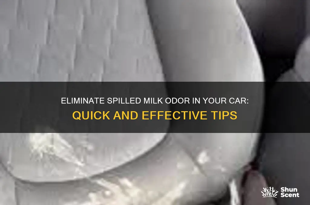 how to get rid of spilled milk odor in car