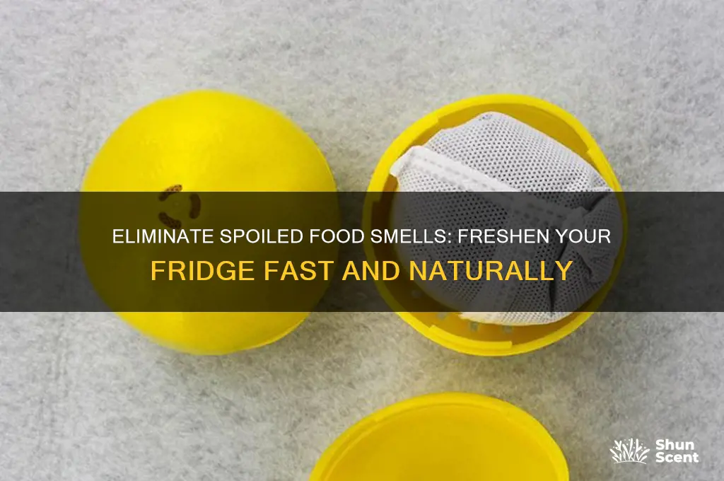 how to get rid of spoiled food odor in frdge
