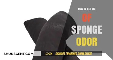 Eliminate Sponge Smells: Quick Tips to Freshen Your Kitchen Tools