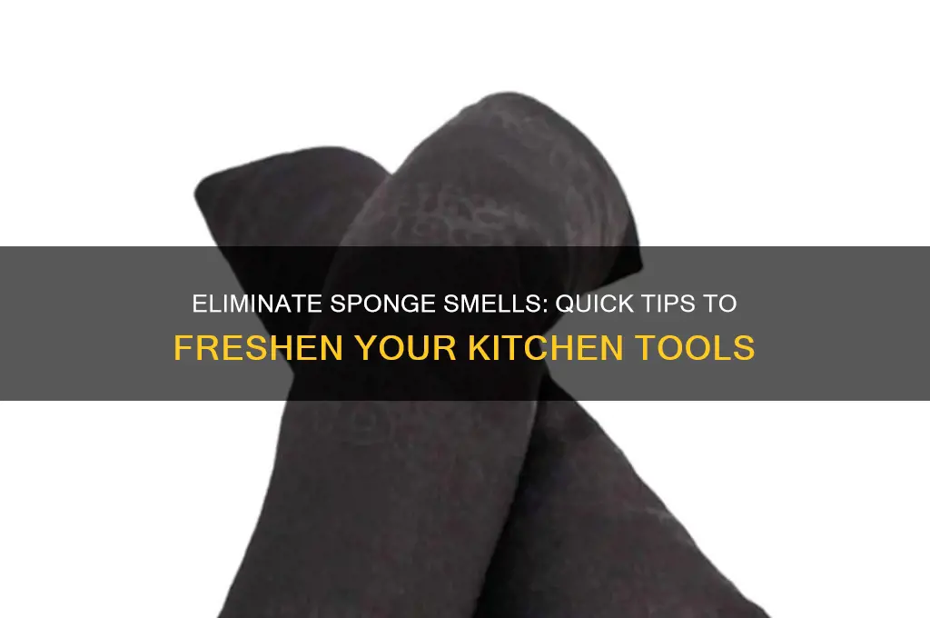 how to get rid of sponge odor