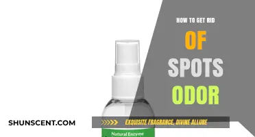 Effective Ways to Eliminate Stubborn Spots Odor for Fresh Spaces