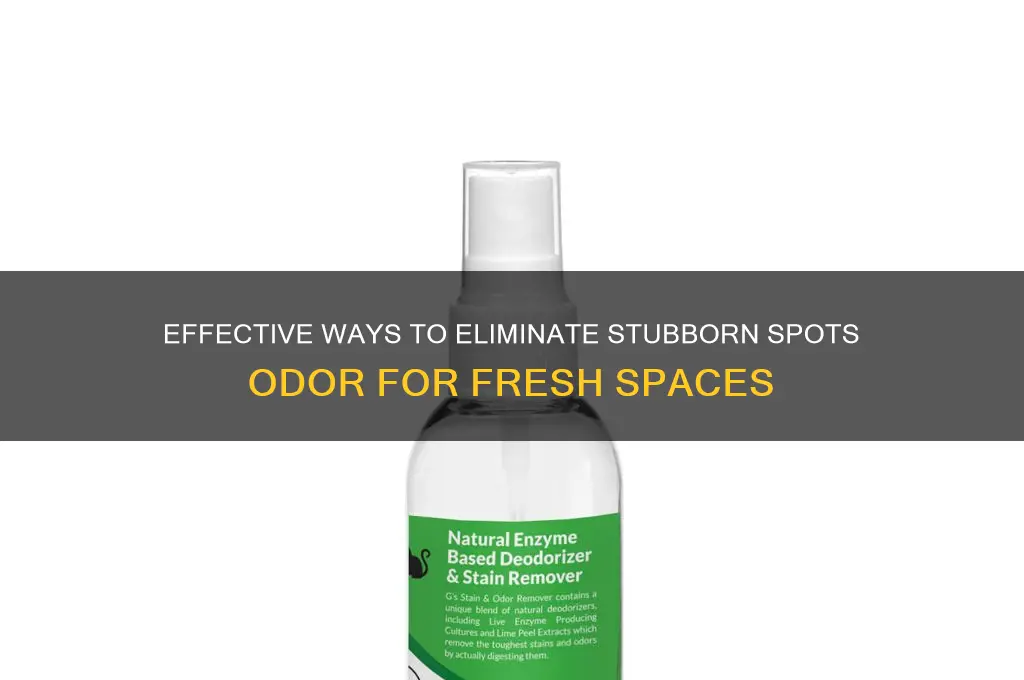 how to get rid of spots odor