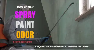 Effective Ways to Eliminate Spray Paint Odor Quickly and Safely