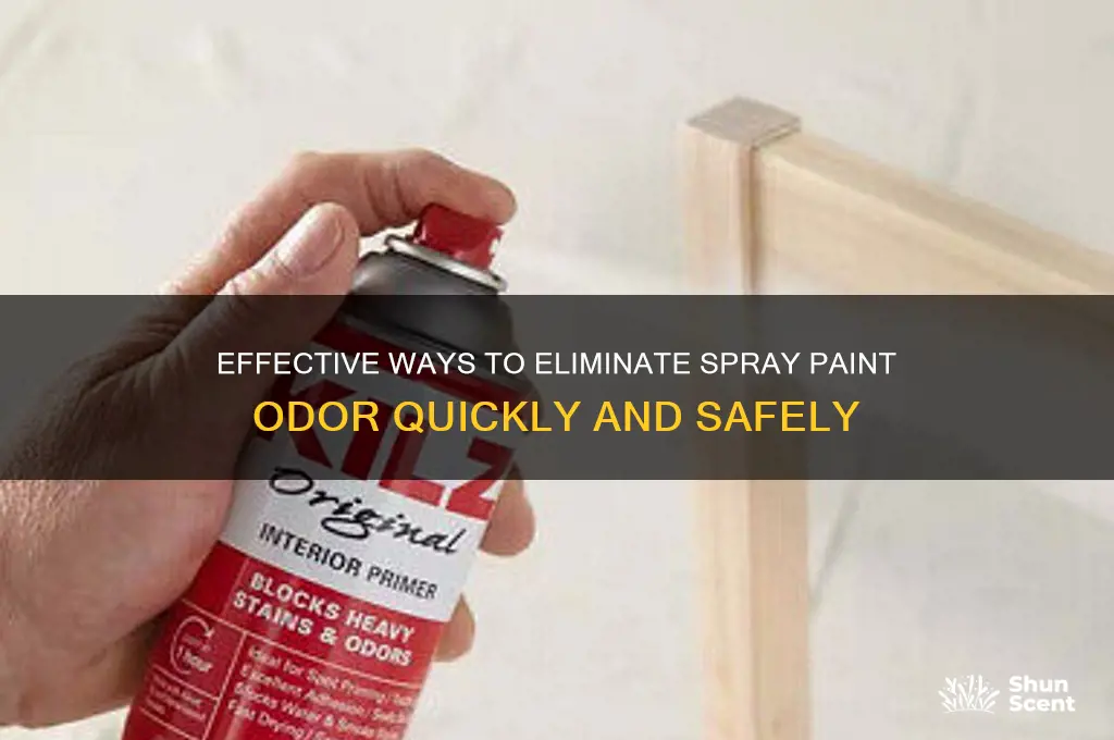 how to get rid of spray paint odor