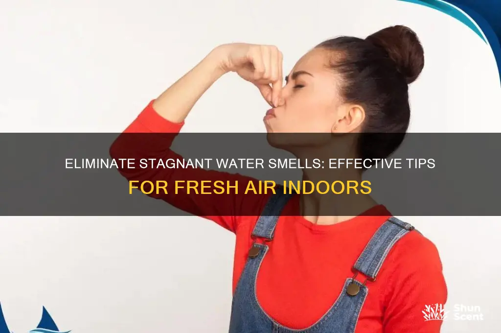 how to get rid of stagnant water odor