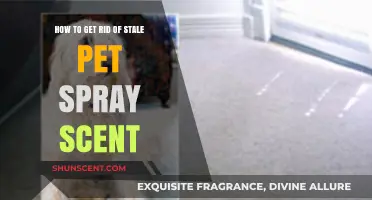 Eliminate Lingering Pet Spray Odor: Effective Tips for a Fresh Home