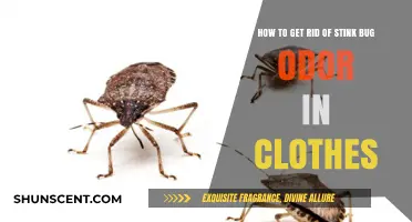 Eliminate Stink Bug Smell from Clothes: Quick and Effective Solutions