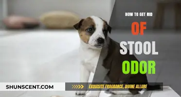 Effective Ways to Eliminate Stool Odor and Freshen Your Bathroom
